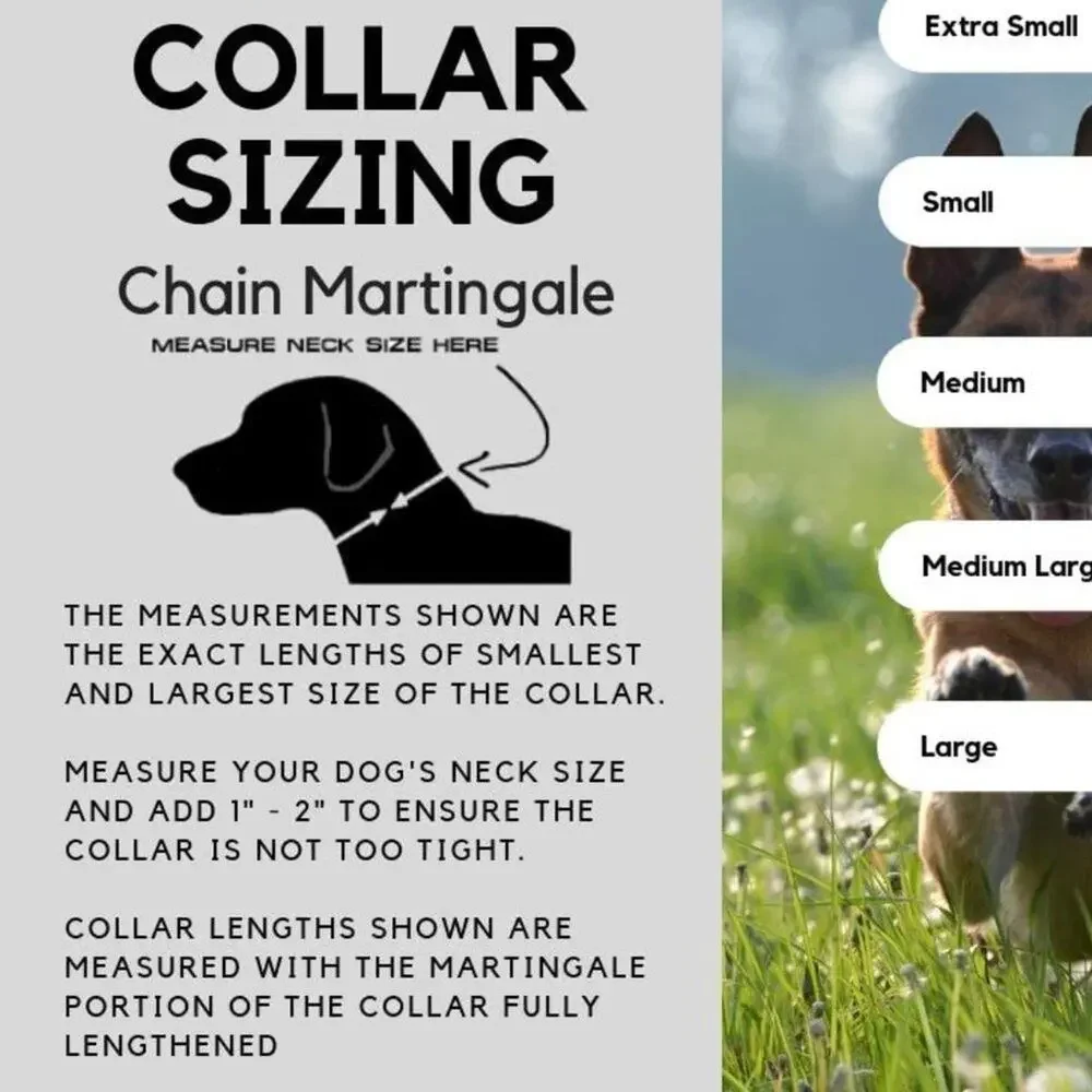 Max and Neo Stainless Steel Chain Reflective Nylon Martingale Collar